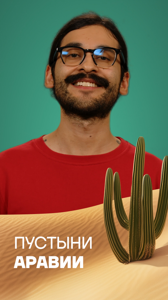 В какой стране, входящей в БРИКС, нет рек?